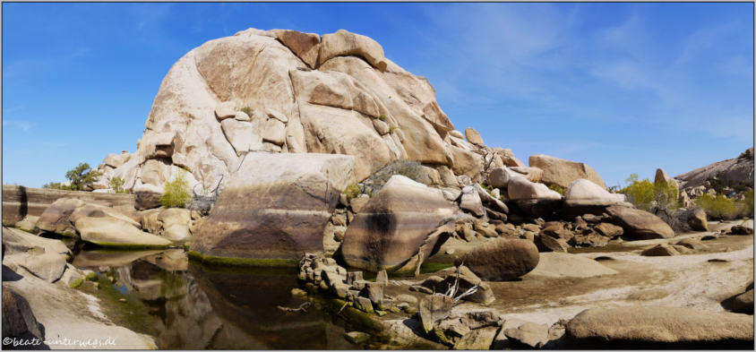 Baker Dam Trail - Joshua Tree National Park