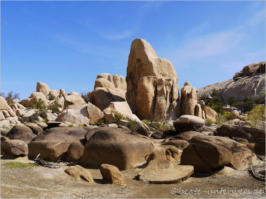 Baker Dam Trail - Joshua Tree National Park