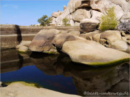 Baker Dam Trail - Joshua Tree National Park