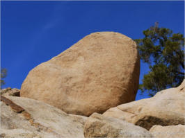 Baker Dam Trail - Joshua Tree National Park