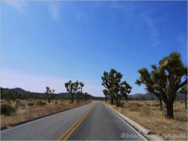 Keys View - Joshua Tree National Park