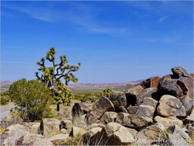 Keys View - Joshua Tree National Park
