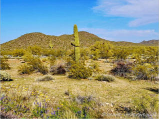 Unterwegs in Arizona