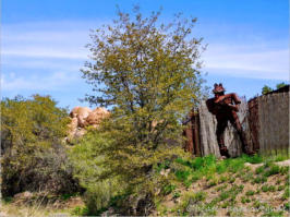 See you later, Aligator