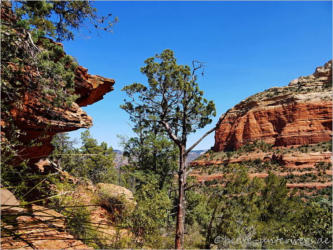 Devils Bridge Trail - Sedona, AZ