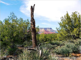 Sedona - Margs Draw Trail