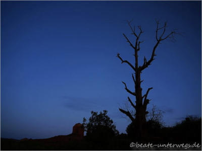 Cathedral Rock - Sedona, AZ