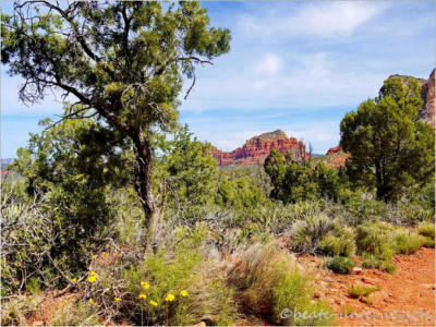 Courthouse Butte und Bell Rock Trail - Sedona, AZ