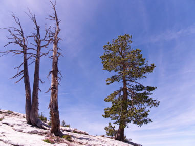 Sentinel Dome Trail, Yosemite NP, CA