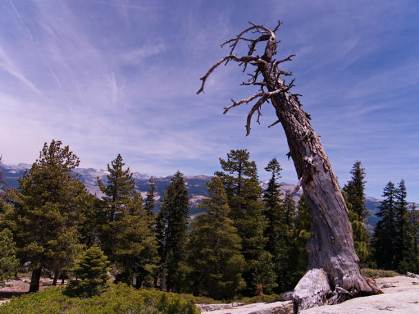 Taft Point Trail, Yosemite NP, CA