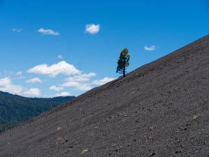Cinder Cone Trail, Lassen Volcanic NP, CA