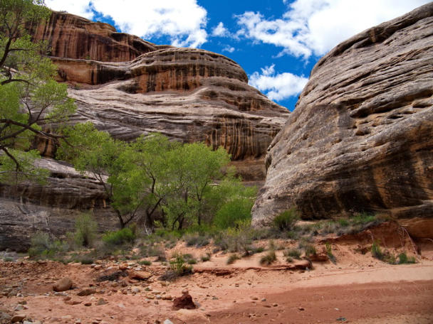 Natural Bridges National Monument, UT