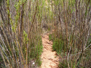 Natural Bridges National Monument, UT