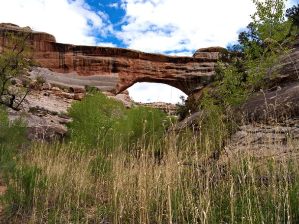 Natural Bridges National Monument, UT