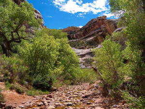 Natural Bridges National Monument, UT