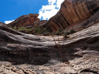Natural Bridges National Monument, UT