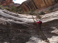 Natural Bridges National Monument, UT
