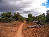 Natural Bridges National Monument, UT