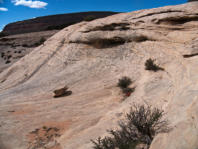 Natural Bridges National Monument, UT