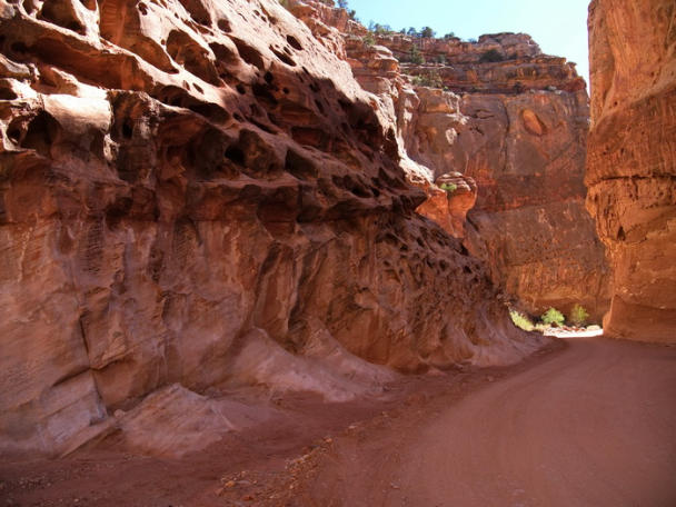 Capitol Gorge Trail, Capitol Reef NP, UT
