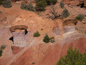 Capitol Gorge Trail, Capitol Reef NP, UT