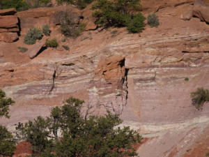Capitol Gorge Trail, Capitol Reef NP, UT