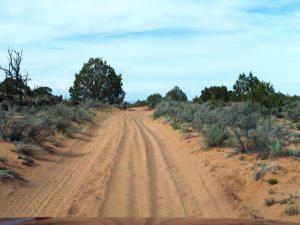 Weg von der CBS zur White Pocket, AZ