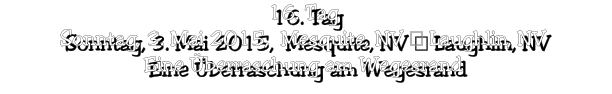 16. Tag Sonntag, 3. Mai 2015,  Mesquite, NV – Laughlin, NV Eine Überraschung am Wegesrand