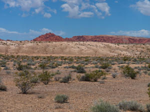 Lake Mead National Recreation Area