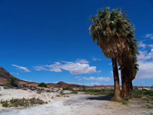 Lake Mead National Recreation Area