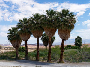 Lake Mead National Recreation Area