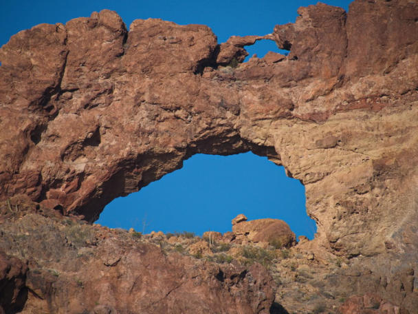 Organ Pipe Cactus NM - Ajo Mountain Drive, AZ