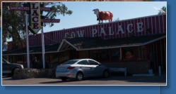 Cow Palace, AZ