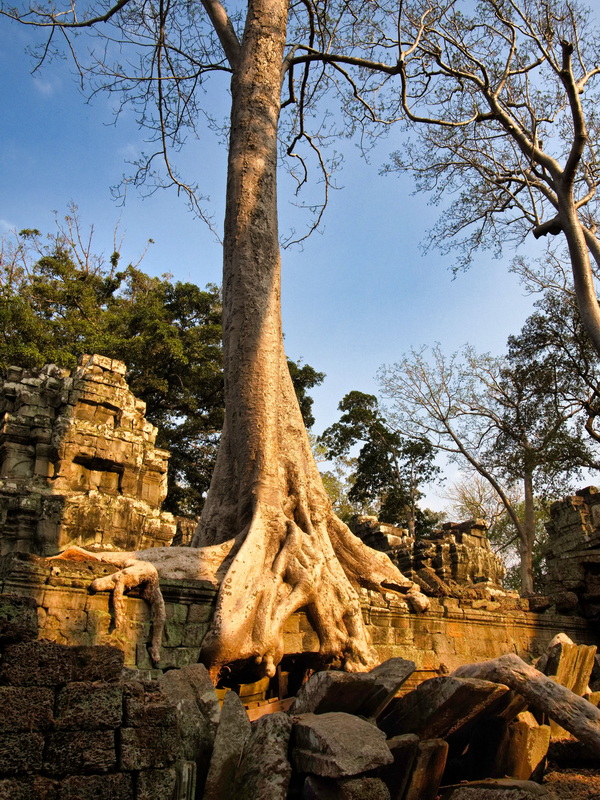 Ta Prohm