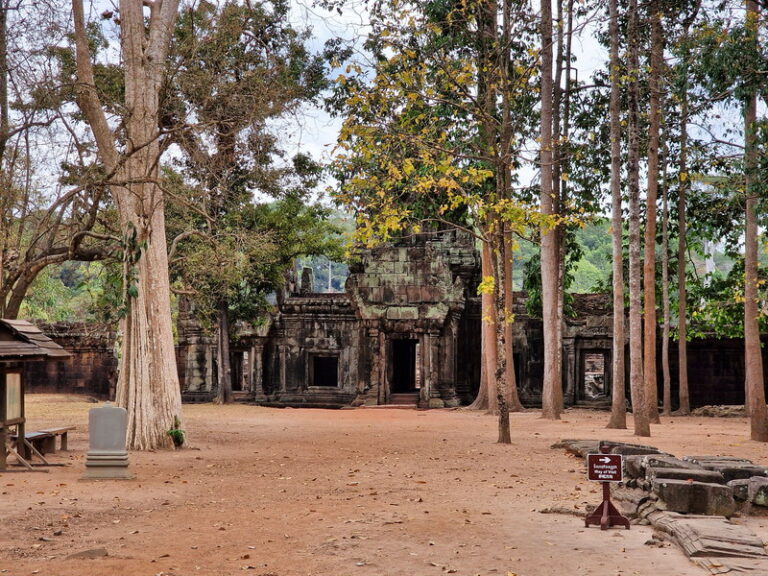 Weg zur Elefanten-Terrasse