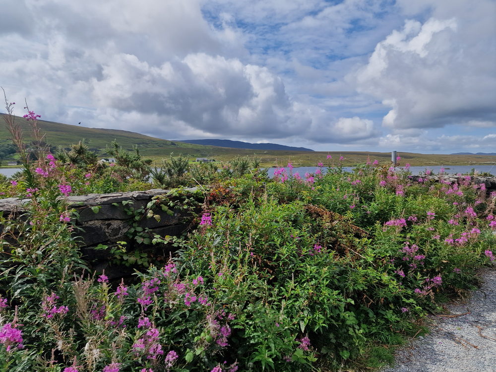 Lough Bofin