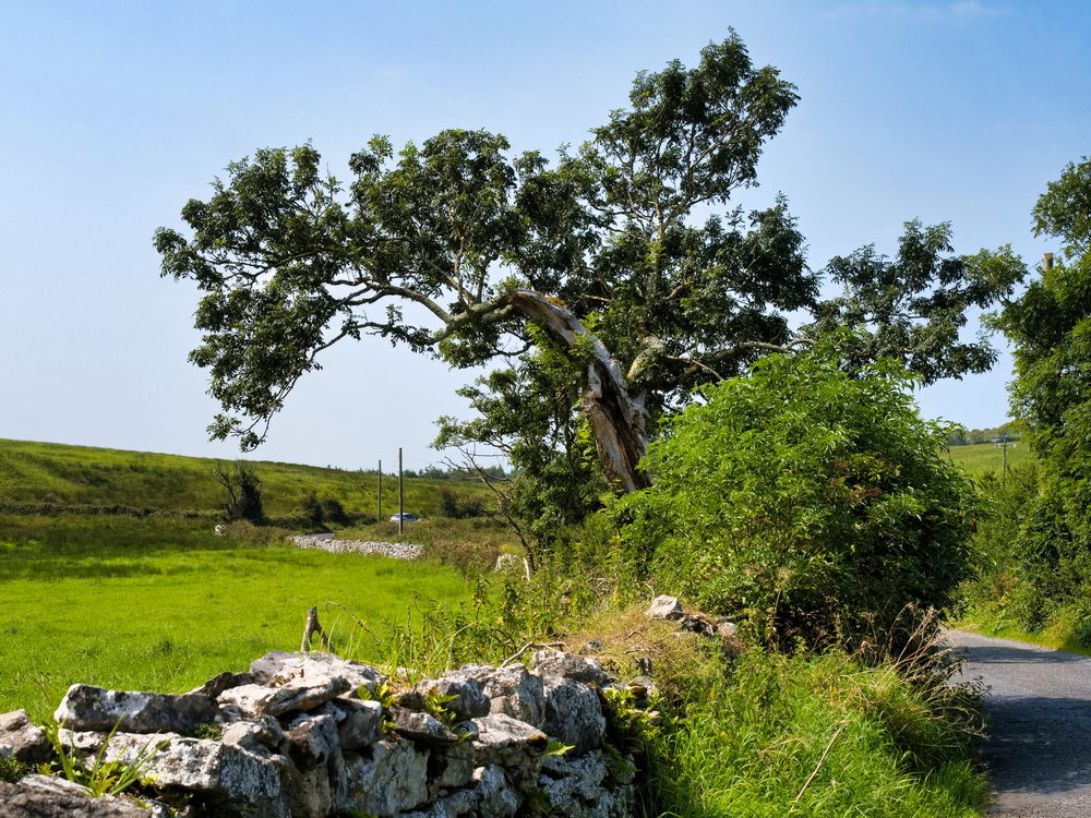 Unterwegs rund um The Burren