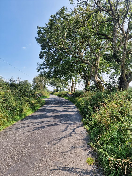 Unterwegs rund um The Burren