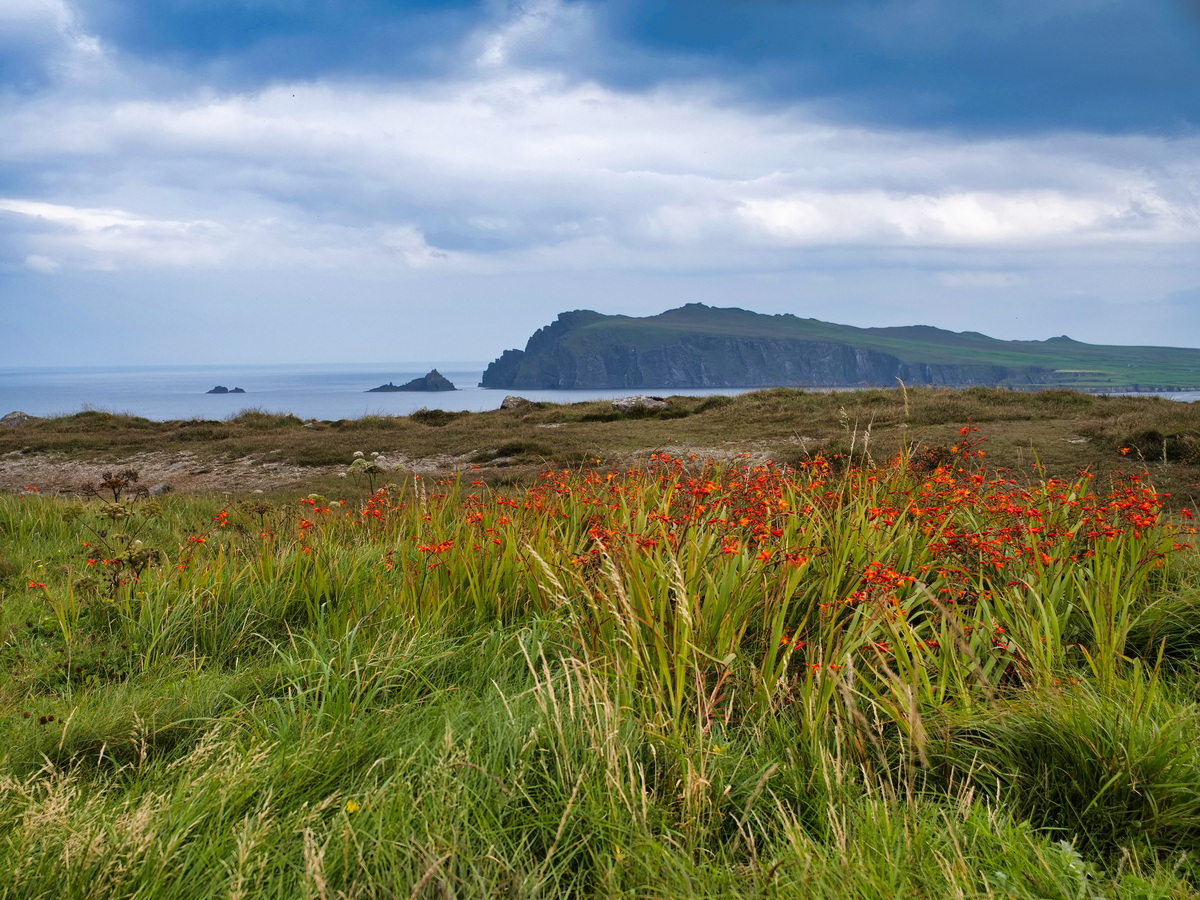 Blick von der Aussichtsterrasse am Blasket Centre