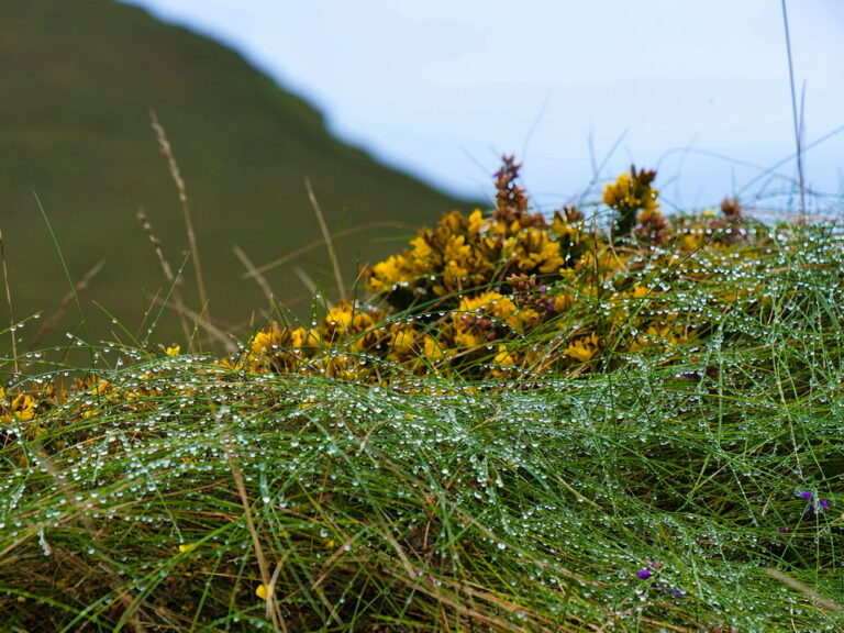 Kerry Cliffs bei Portmagee