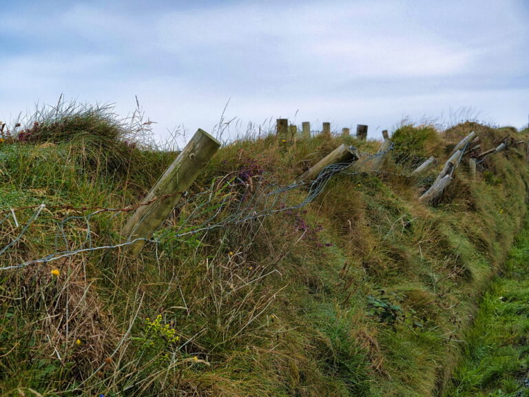 Kerry Cliffs bei Portmagee