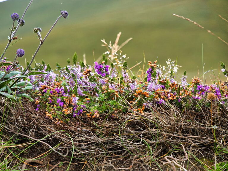 Kerry Cliffs bei Portmagee