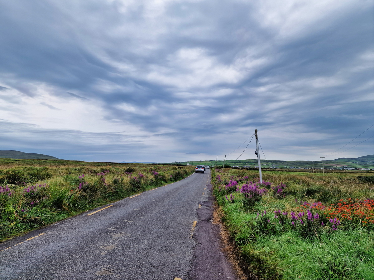 Auf dem Weg nach Valentia Island