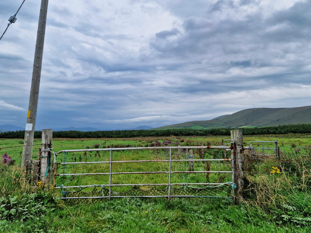 Auf dem Weg nach Valentia Island