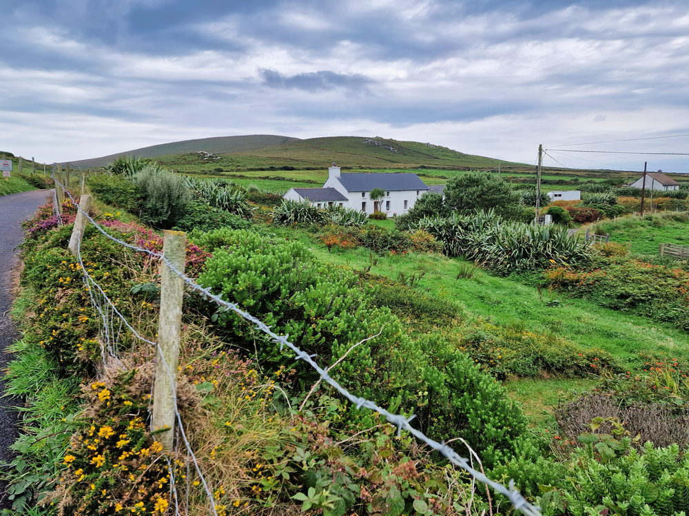 Auf dem Weg nach Valentia Island