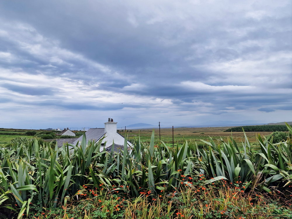 Auf dem Weg nach Valentia Island
