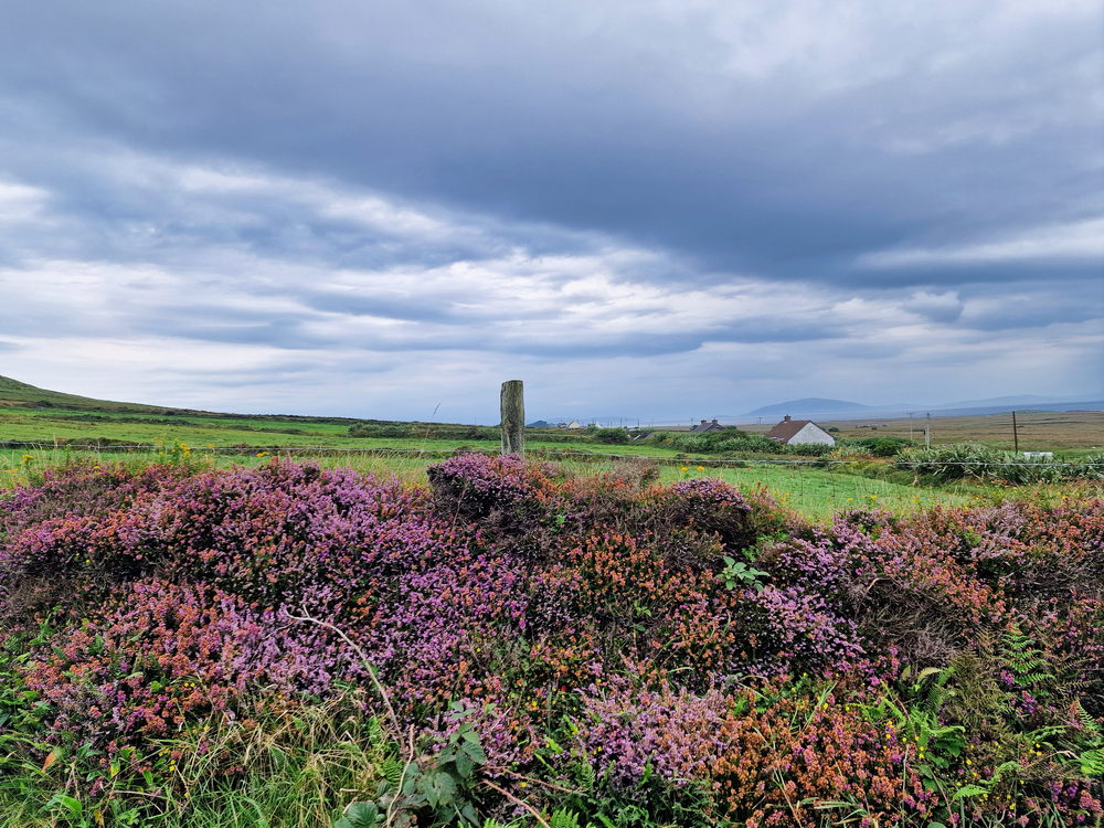Auf dem Weg nach Valentia Island
