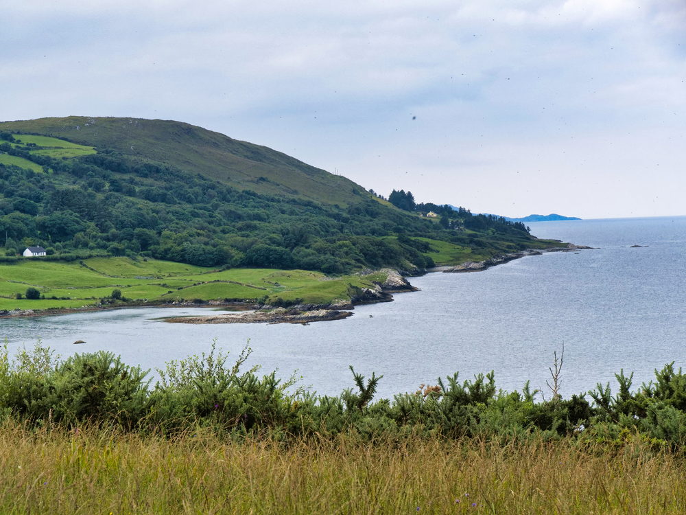 Blick auf die Kenmare Bay