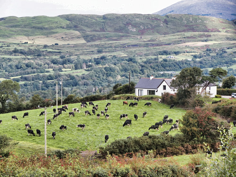 Aussicht vom Breeny More Stone Circle