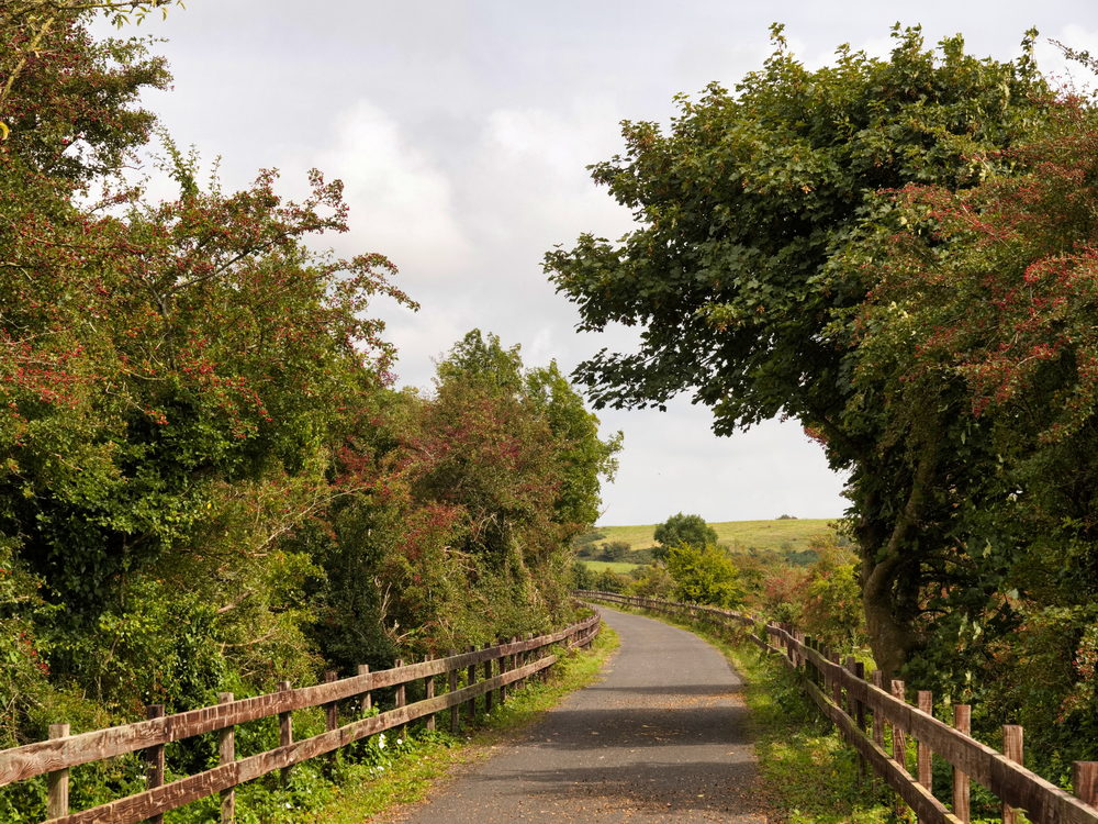 Waterford Greenway